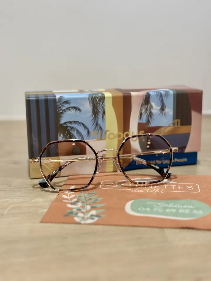 large choix de lunettes opticien satillieu 