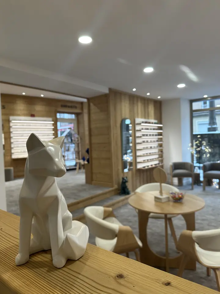 magasin de lunettes opticien