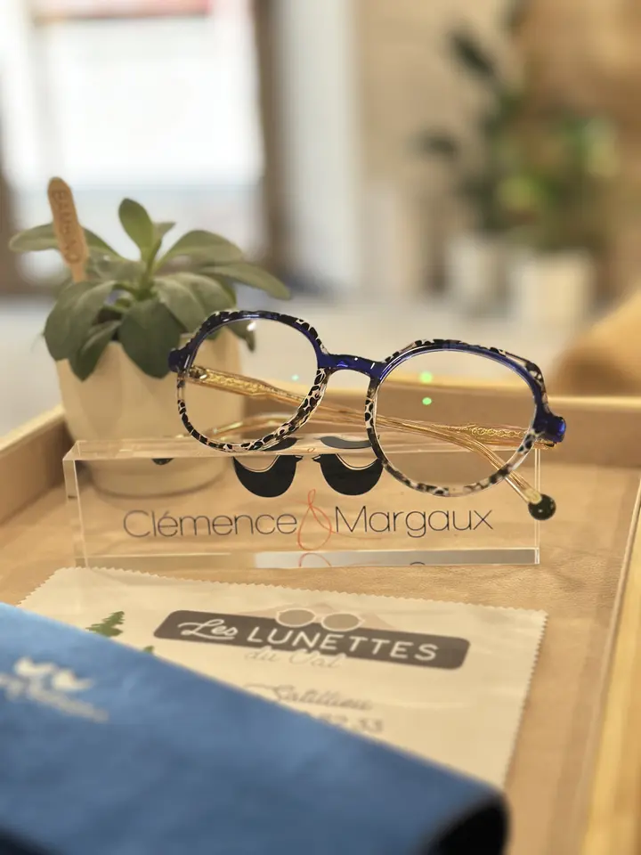 large choix de lunettes opticien satillieu 