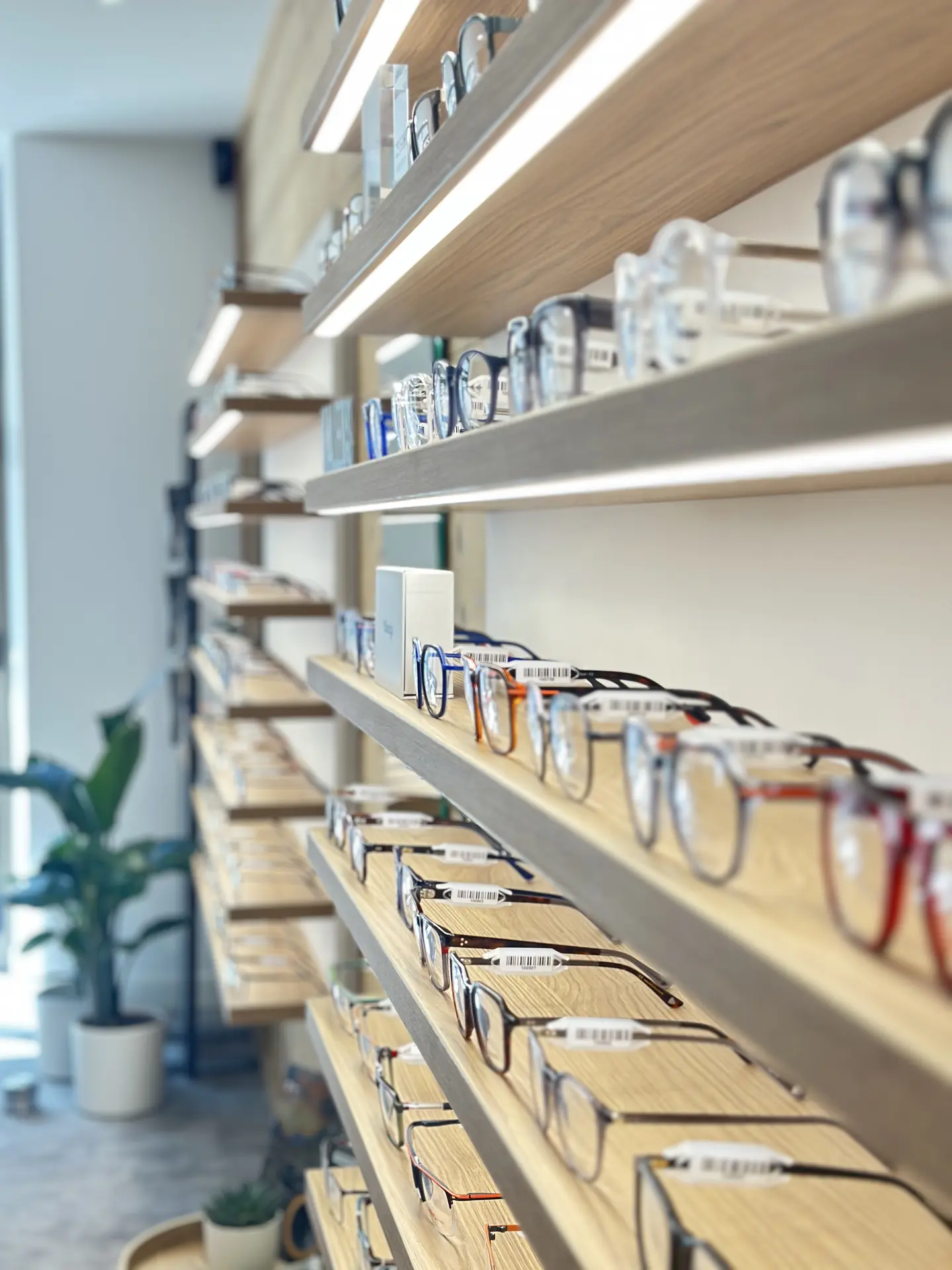 large choix de lunettes opticien